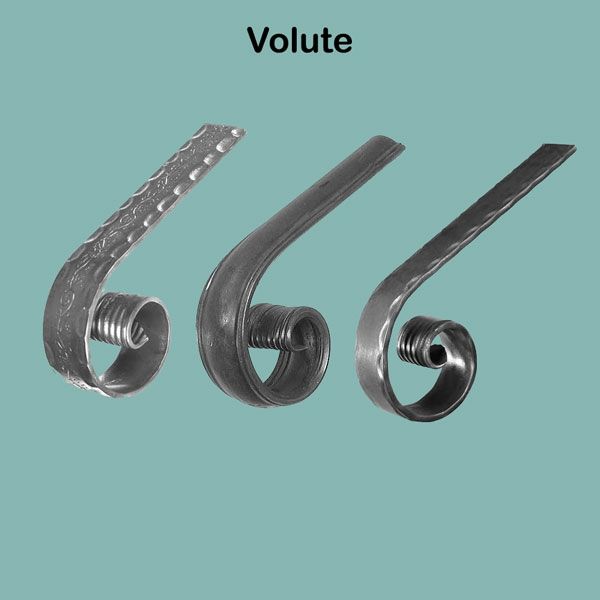 Picture for category Volutes